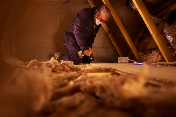 Best Cellulose Insulation in USA